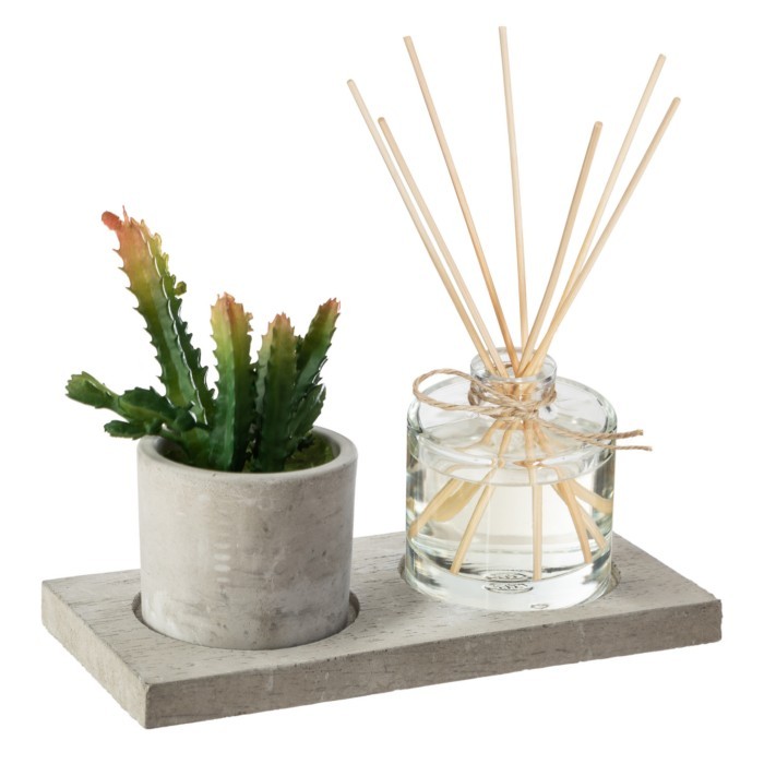 home-decor/candles-home-fragrance/comptoir-de-la-bougie-scented-gift-set-artificial-1plant