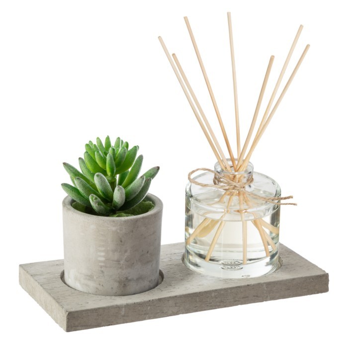 home-decor/candles-home-fragrance/comptoir-de-la-bougie-scented-gift-set-artificial-1plant
