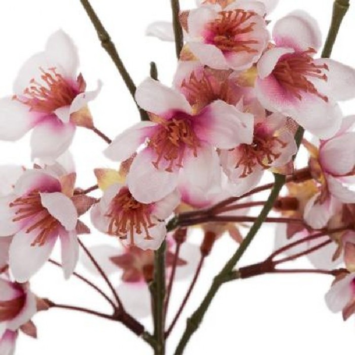 home-decor/artificial-plants-flowers/atmosphera-atmosphera-cherry-blossom-vase
