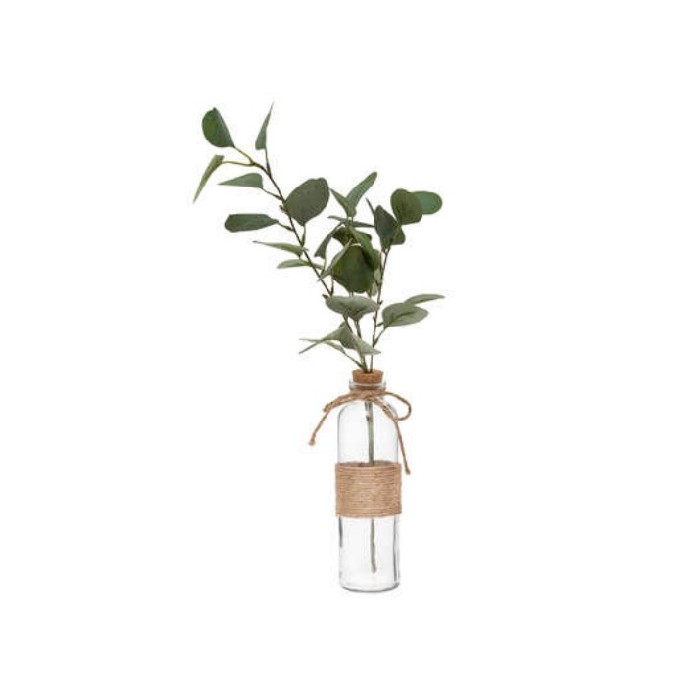 home-decor/vases/eucalyptus-with-glass-vase