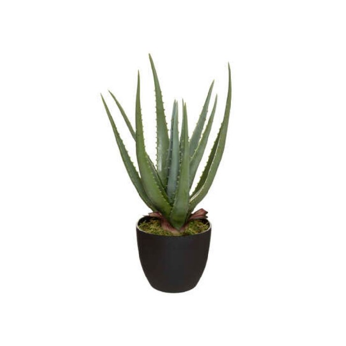 home-decor/artificial-plants-flowers/artificial-real-touch-aloe-plant-green-44cm