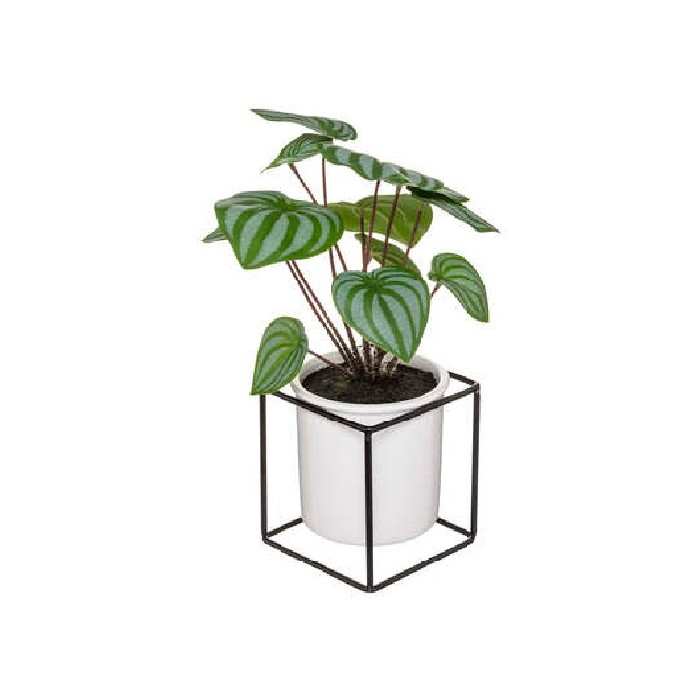home-decor/artificial-plants-flowers/maranta-ceramic-met-stand-h32cm