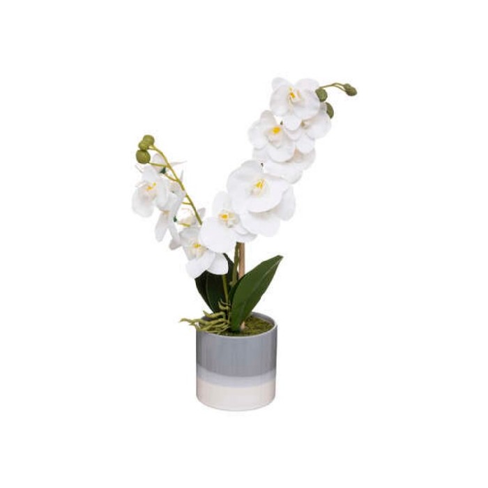 home-decor/artificial-plants-flowers/orchid-reactiv-crmc-pot-h45