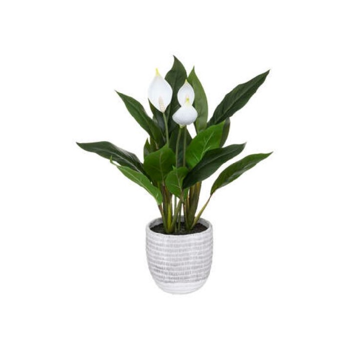 home-decor/artificial-plants-flowers/atmosphera-artificial-peace-lily-plant-green-54cm