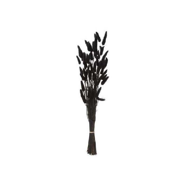 home-decor/artificial-plants-flowers/atmosphera-black-rabbit-tail-lum-black-h58cm