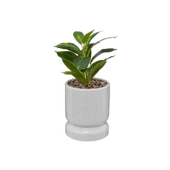 home-decor/artificial-plants-flowers/plant-reactive-ceramic-pot-h30cm