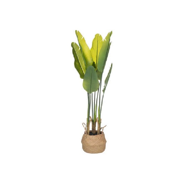home-decor/artificial-plants-flowers/atmosphera-strelitzia-plant-natutal-pot-h120cm