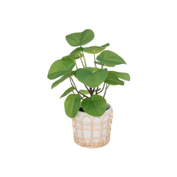home-decor/artificial-plants-flowers/plant-with-crmq-rattan-pot-h35cm