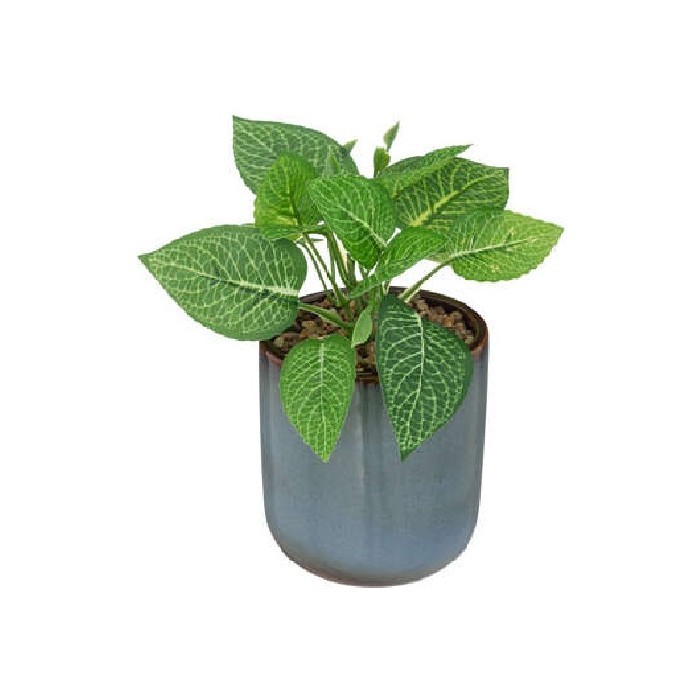 home-decor/artificial-plants-flowers/plant-with-az-reac-ceramic-pot-h19cm