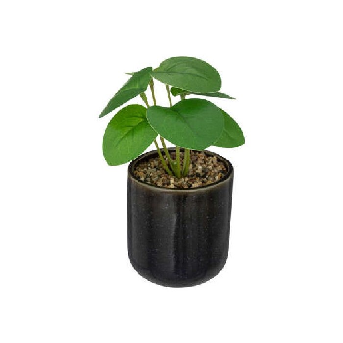home-decor/artificial-plants-flowers/plant-with-nv-reac-ceramic-pot-h19cm