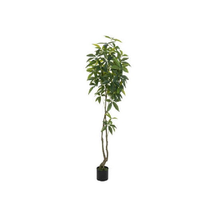 home-decor/artificial-plants-flowers/pachira-tree-olm-h180cm