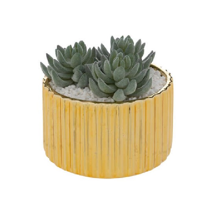 home-decor/artificial-plants-flowers/plant-with-gold-ceramic-pot-col-h12cm