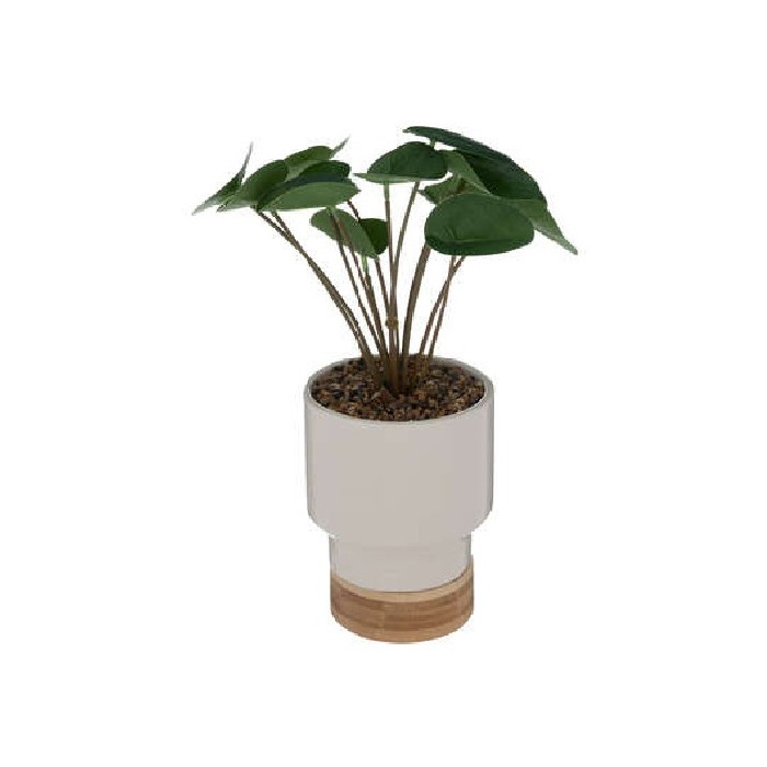 home-decor/artificial-plants-flowers/plant-with-white-ceramic-pot-h26cm
