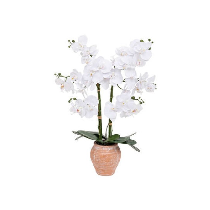 home-decor/artificial-plants-flowers/atmosphera-orchid-terracotta-pot-dena-h65cm