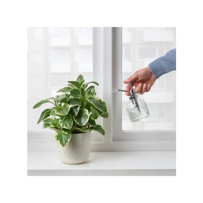 gardening/other-garden-accessories/ikea-sesamfron-plant-sprayerclear-glass-25cl