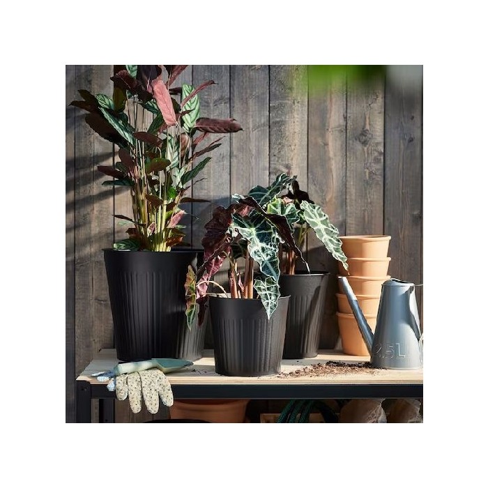 home-decor/artificial-plants-flowers/ikea-citronmeliss-plant-pot-inoutdooranthracite