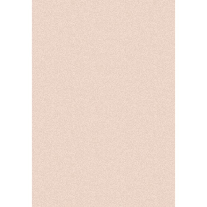 home-decor/carpets/rug-supersoftness-80x150-nude-rose
