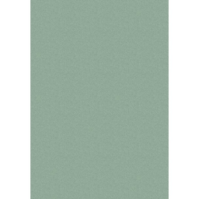 home-decor/carpets/rug-super-softness-sage-green-67-x-130cm