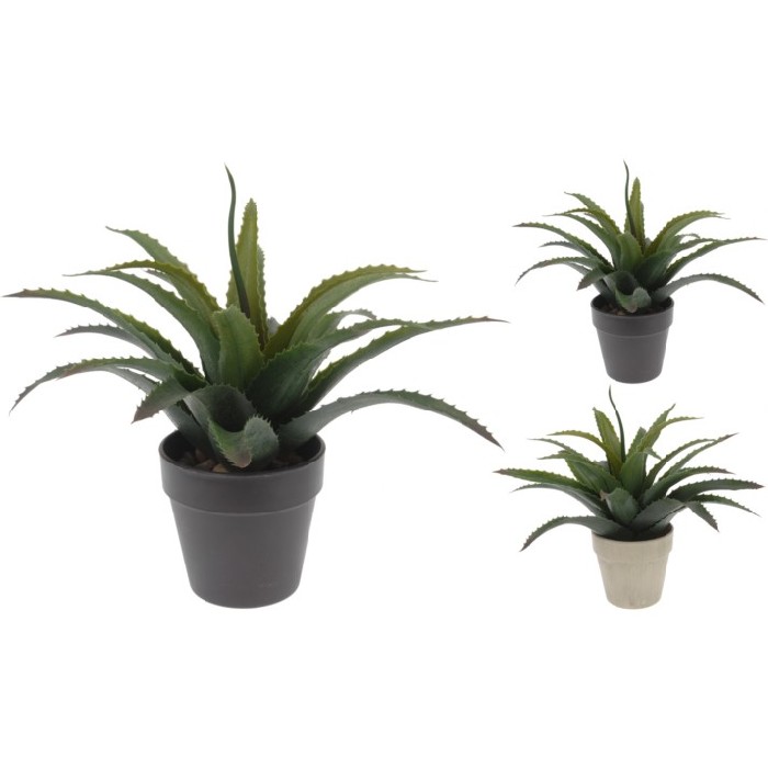 home-decor/artificial-plants-flowers/plant-artificial-25cm-2assorted