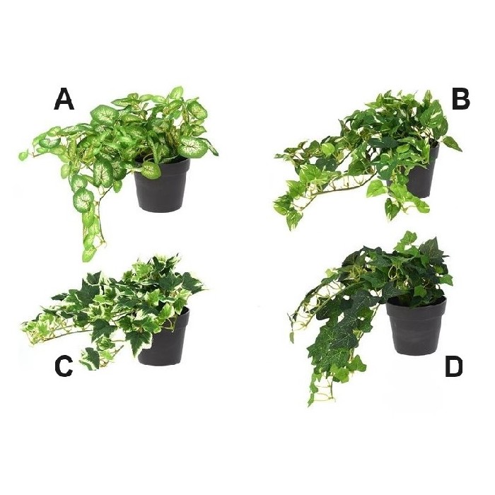 home-decor/artificial-plants-flowers/hanging-plant-in-pot-25cm-4-assorted-designs