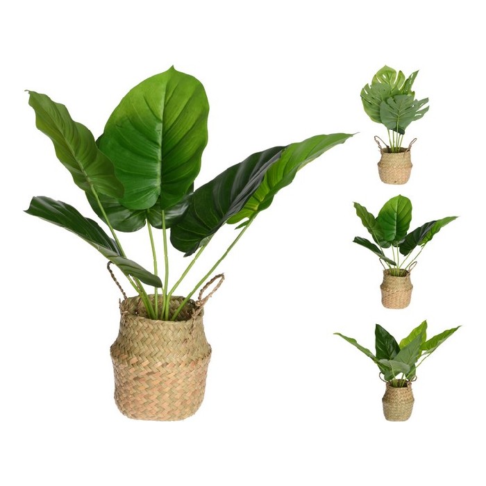 home-decor/artificial-plants-flowers/plant-in-basket-46cm-3assorted