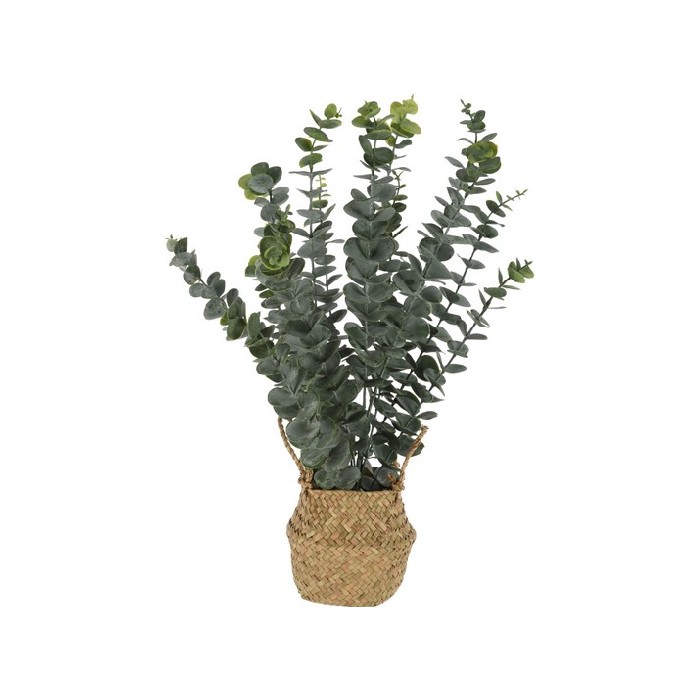 home-decor/artificial-plants-flowers/artificial-plant-eucalyptus-in-seagrass-basket-size-13x10x11cm
