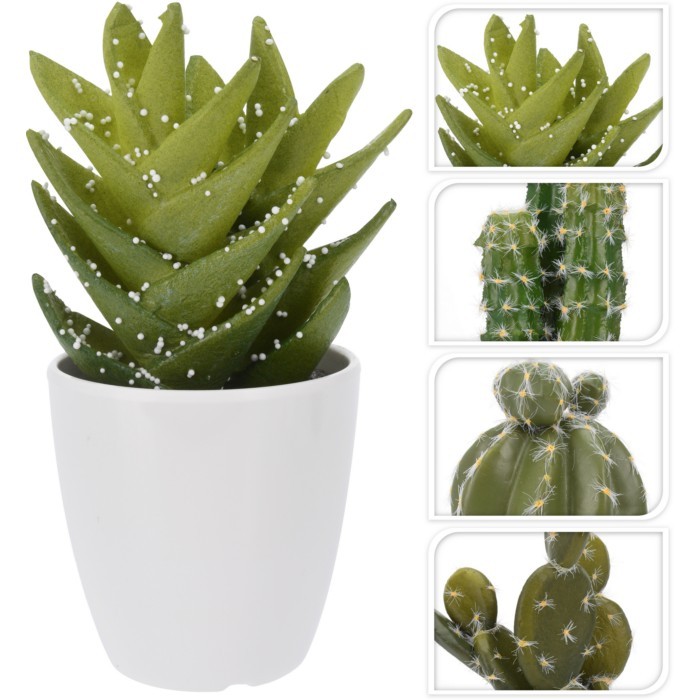cactusinpotwhite19cm4ass artificialplantsflowers homedecor