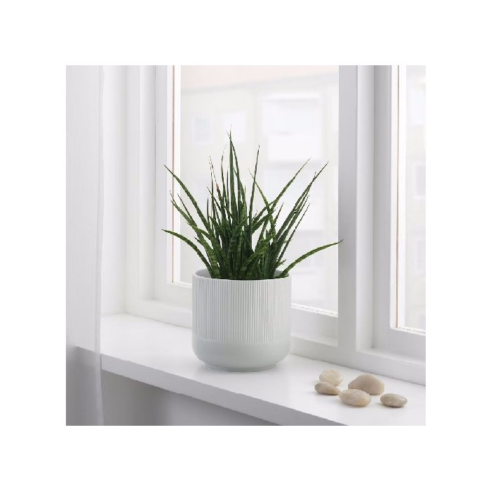 home-decor/indoor-pots-plant-stands/ikea-gradvis-plant-pot-gray-15cm