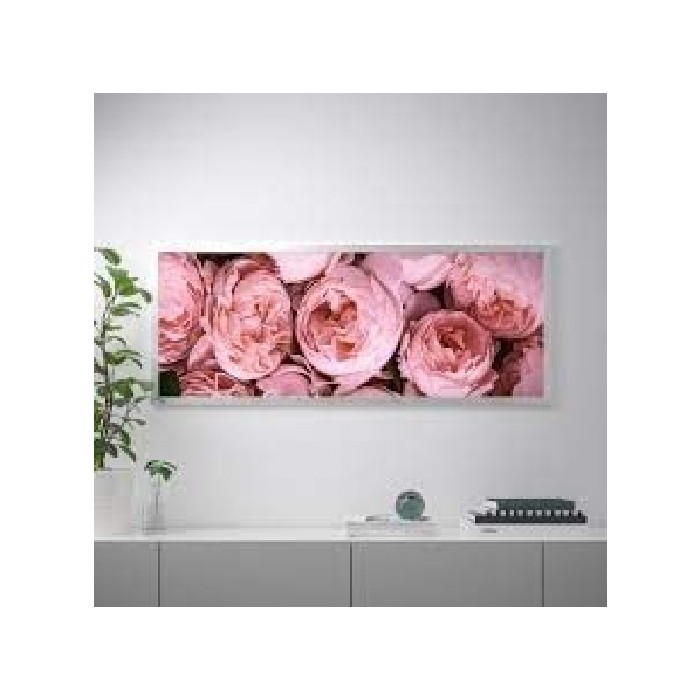 home-decor/wall-decor/ikea-bjorksta-picture-pink-peony