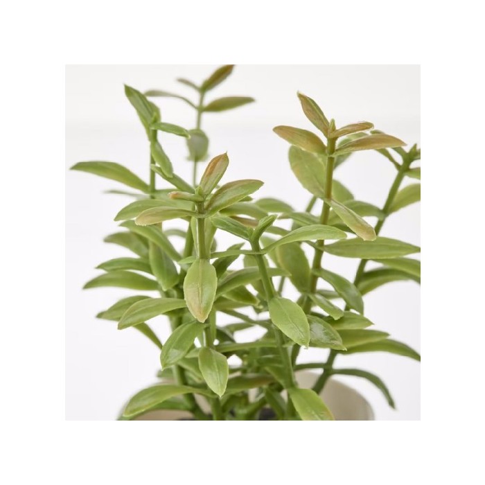home-decor/artificial-plants-flowers/ikea-fejka-artificial-plant-pot-set-of-3-indooroutdoor-herbs-11cm