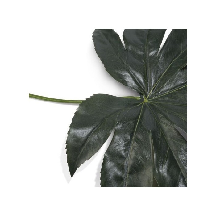 home-decor/artificial-plants-flowers/promo-fatsia-leaf-h55cm