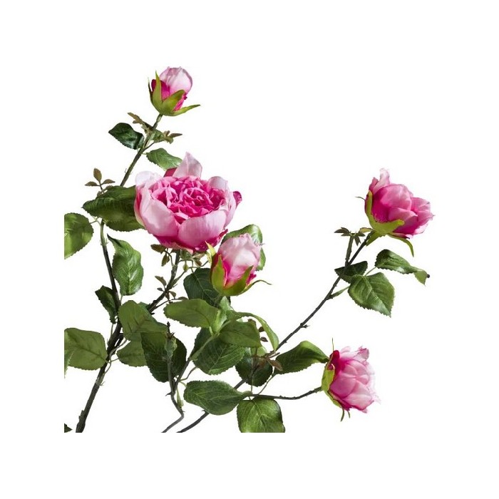 home-decor/artificial-plants-flowers/promo-coco-maison-rose-london-branch-h110cm