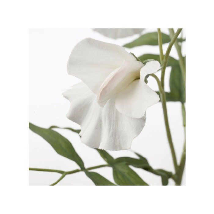 home-decor/artificial-plants-flowers/ikea-smycka-art-flower-60-sweet-pea