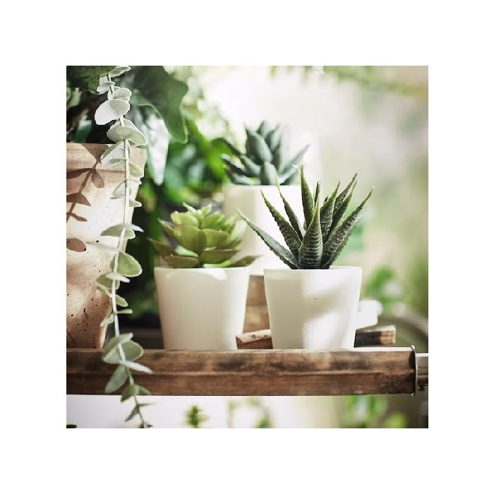home-decor/artificial-plants-flowers/ikea-fejka-potted-plant-artificialpot-set-of-3-indooroutdoor