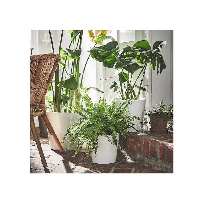 home-decor/indoor-pots-plant-stands/ikea-sojabona-plant-pot-white- 19cm