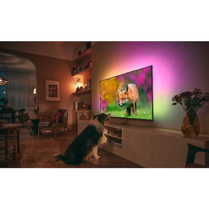 electronics/televisions/philips-50-inch-the-one-ambilight-4k-tv-50pus8818