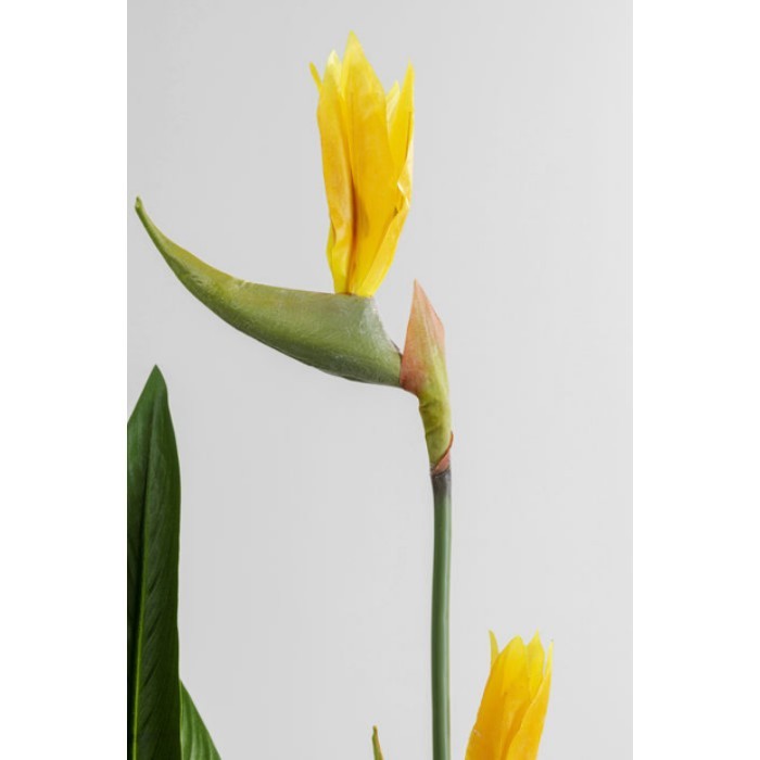 home-decor/artificial-plants-flowers/kare-deco-plant-paradise-flowers-190cm