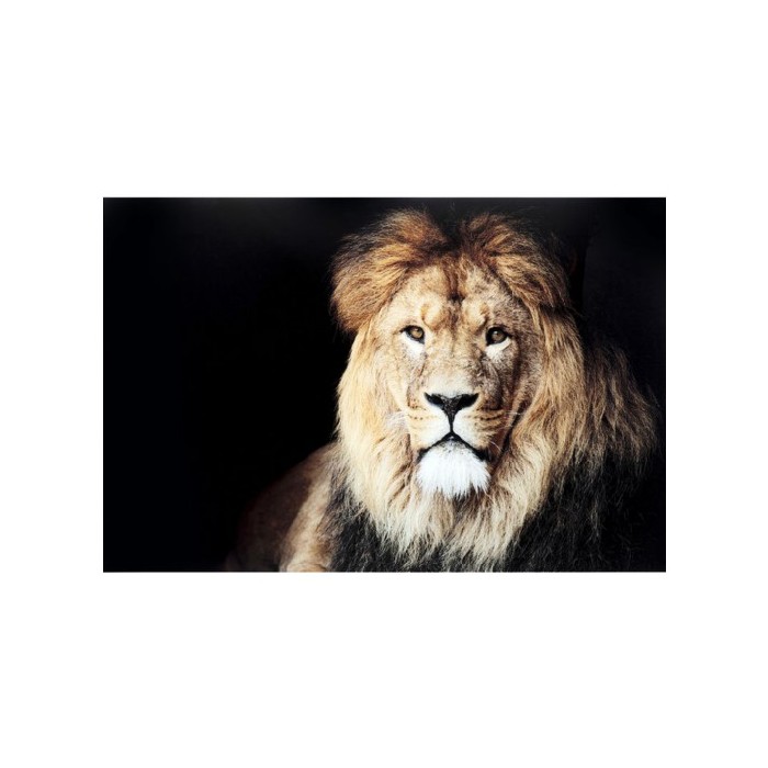 home-decor/wall-decor/promo-promo-kare-glass-picture-king-of-lion