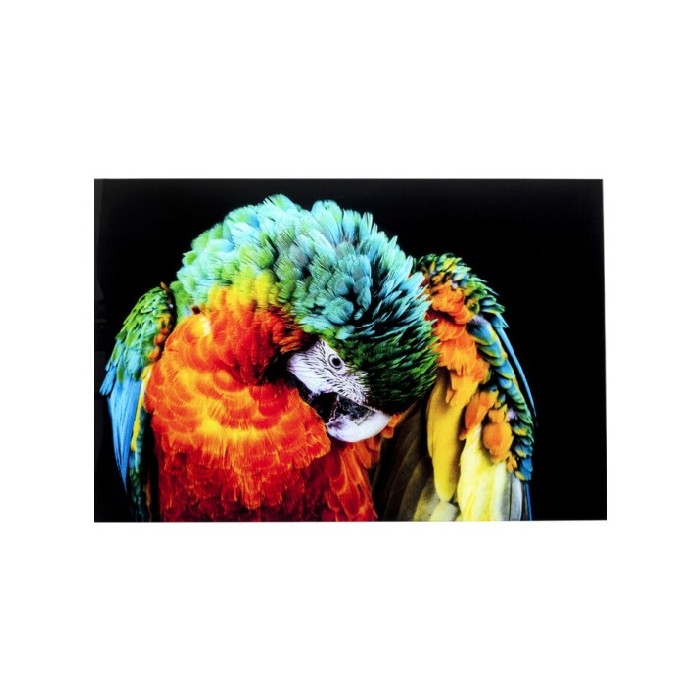 kareglasspicturetropicalparrot120x80cm walldecor homedecor