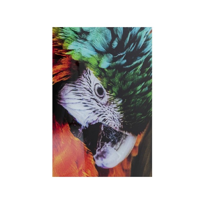 home-decor/wall-decor/promo-kare-glass-picture-tropical-parrot-120x80cm-last-one-on-display