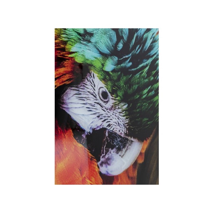 kareglasspicturetropicalparrot120x80cm walldecor homedecor