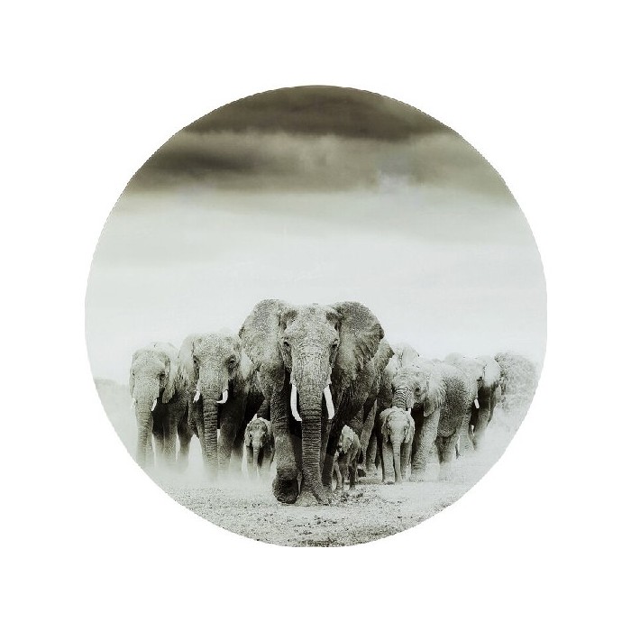 home-decor/wall-decor/kare-glass-picture-elephant-walk-ø120cm