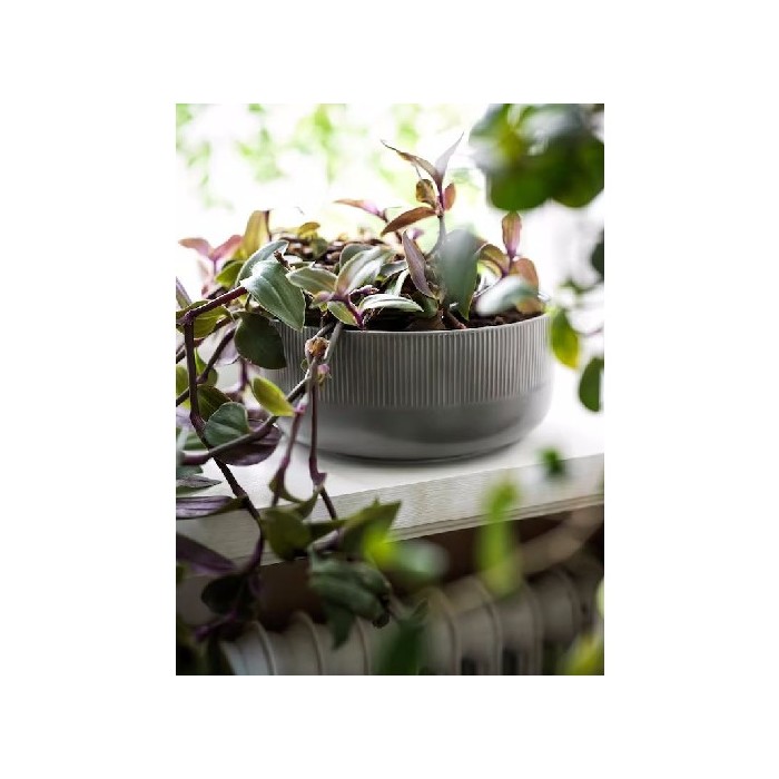 home-decor/indoor-pots-plant-stands/ikea-gradvis-planter-indooroutdoor-gray-22cm