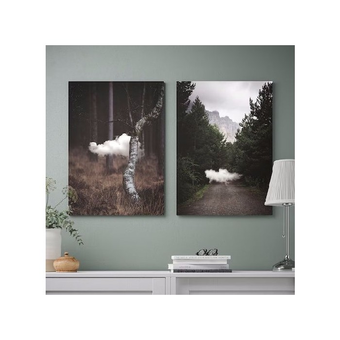 home-decor/wall-decor/ikea-pjatteryd-image-low-cloud50x70-cm