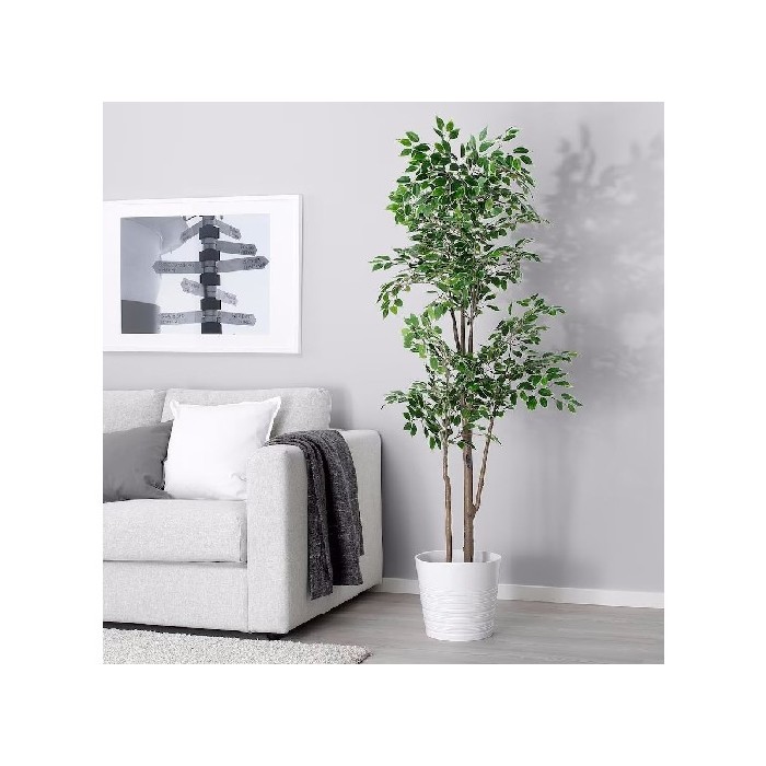 home-decor/artificial-plants-flowers/ikea-fejka-artificial-potted-plant-inoutdoor-weeping-fig-21cm