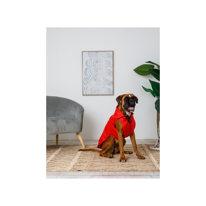 household-goods/pet-care-accessories/coincasa-london-waterproof-breathable-fabric-coat-7212780