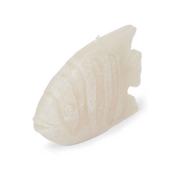 home-decor/candles-home-fragrance/coincasa-handcrafted-fish-candle