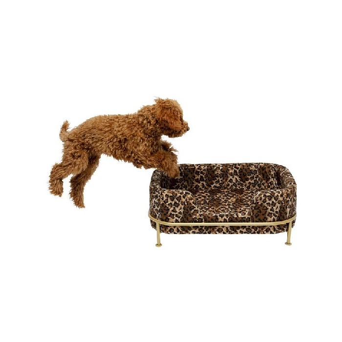household-goods/pet-care-accessories/kare-dog-bed-diva-leo