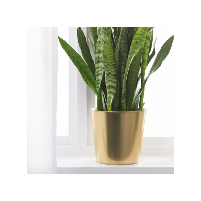home-decor/indoor-pots-plant-stands/ikea-daidai-cachepot-brass-colored-19-cm