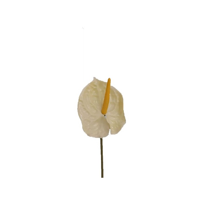 home-decor/artificial-plants-flowers/anthurium-stem-70cm